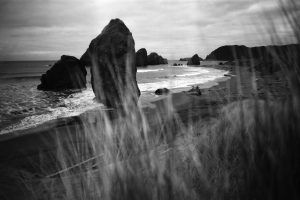 Christopher Lisle 2025