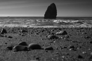 Christopher Lisle 2025