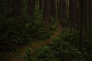 Christopher Lisle 2025