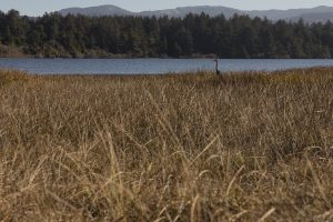 Christopher Lisle 2025