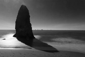 Christopher Lisle 2025