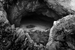 Christopher Lisle 2025