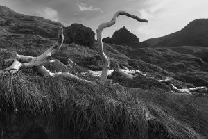 Christopher Lisle 2025