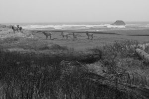 Christopher Lisle 2025