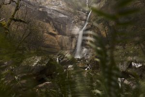 Christopher Lisle 2025