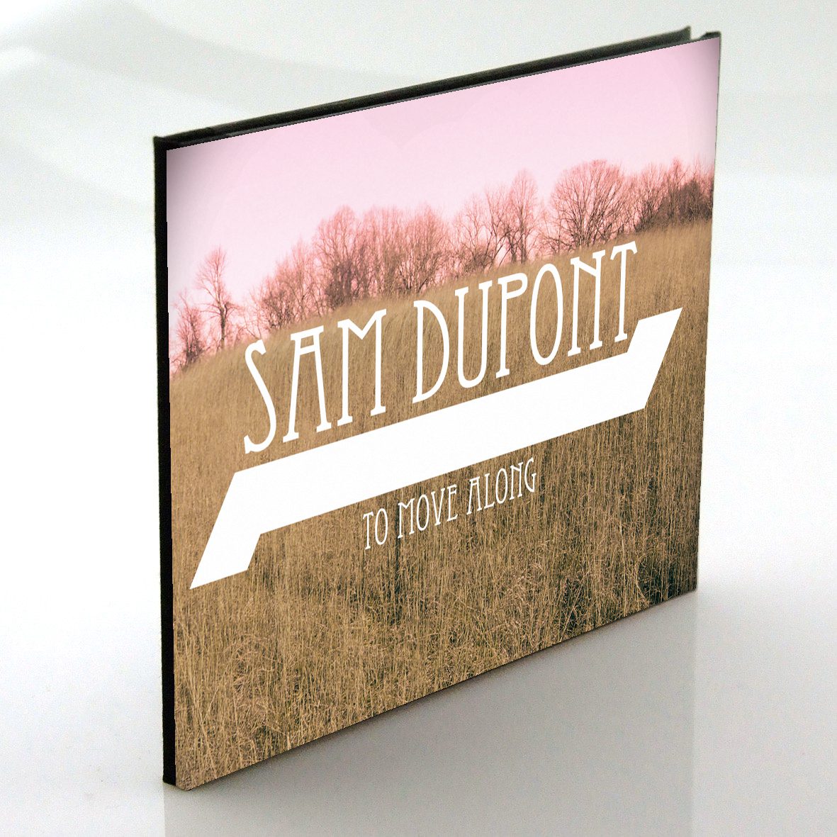 Sam Dupont CD pacakging design, "To Move Along"