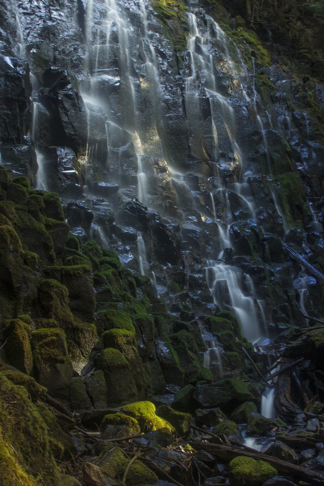 Ramona Falls detail 4, Oregon