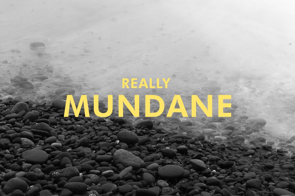 Really Mundane 2018 Calendar Cover
