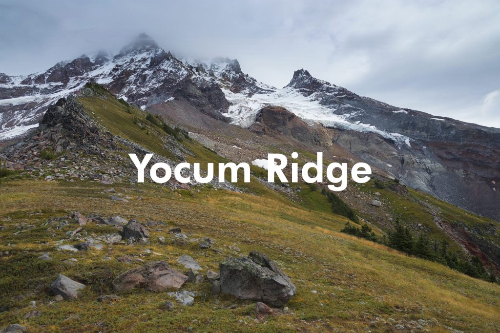 Yocum Ridge, Mt. Hood, Oregon - September 2019
