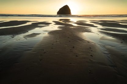 Oregon Coast - Christopher Lisle