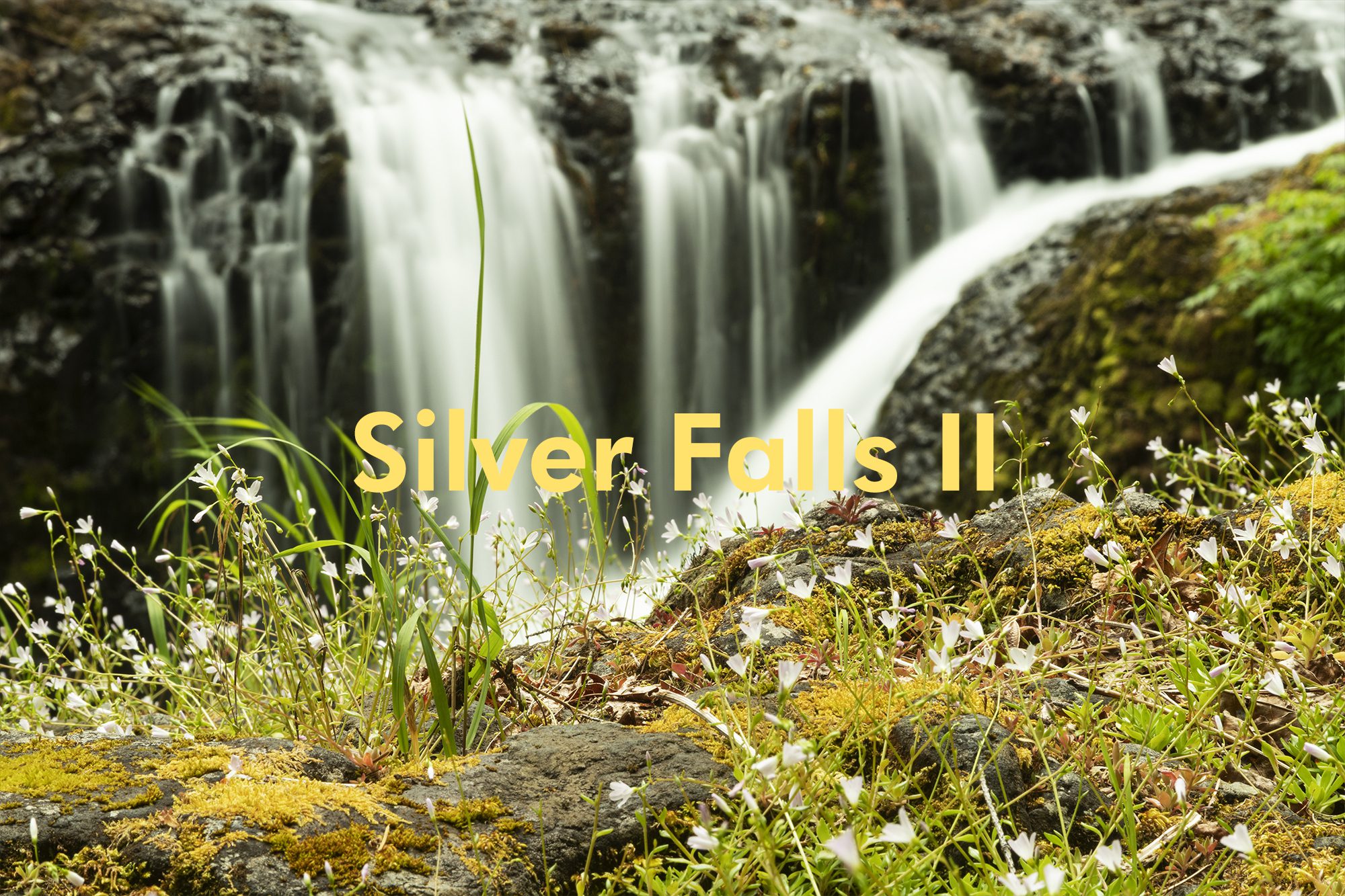 Silver Falls II – Christopher Lisle