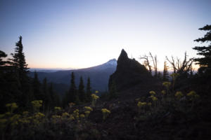 Mt. Hood - Oregon