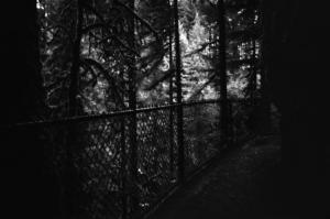 woods fence
